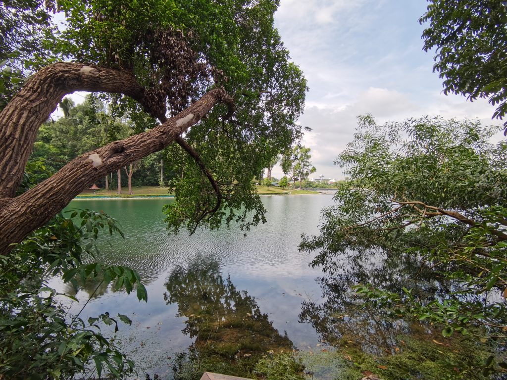 huawei p40 camera sample 1