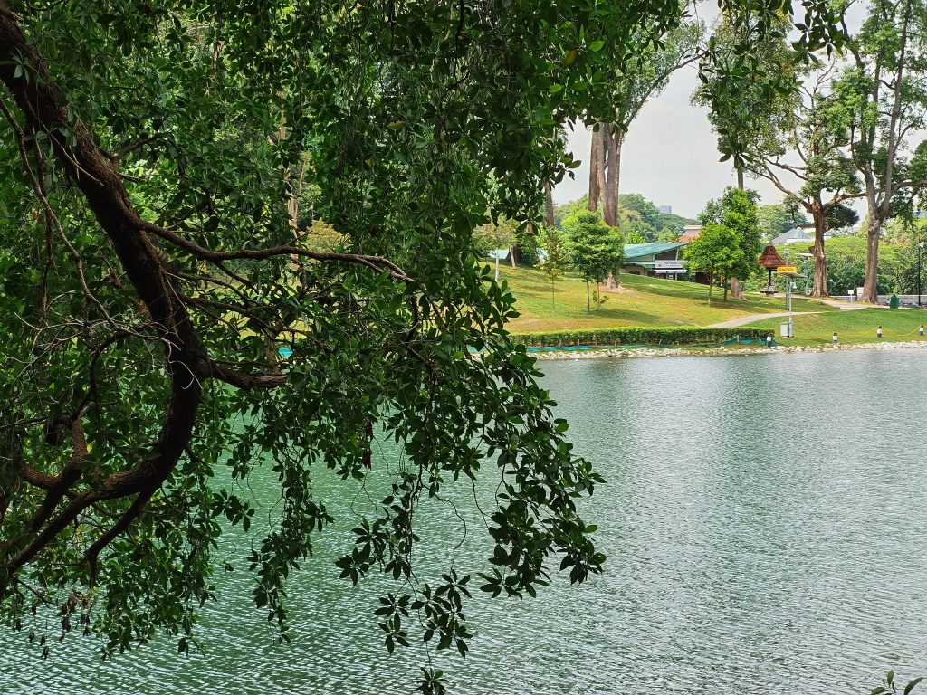 huawei p40 camera sample 3